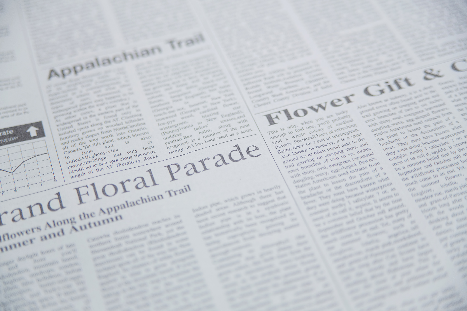 新聞紙面